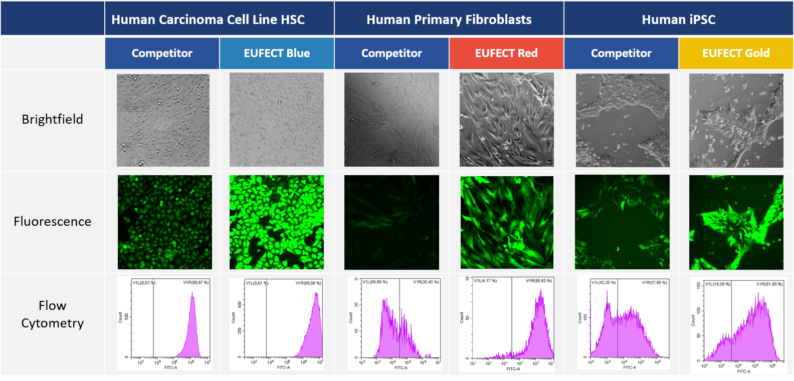 EUFECT flow cytometry and fluorescence microskopy against SM-102 and C12-200